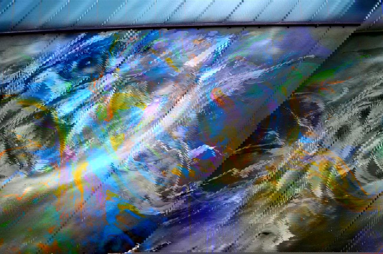 Graffiti Artwork - Photo by DRIBS - bird, DRIBS