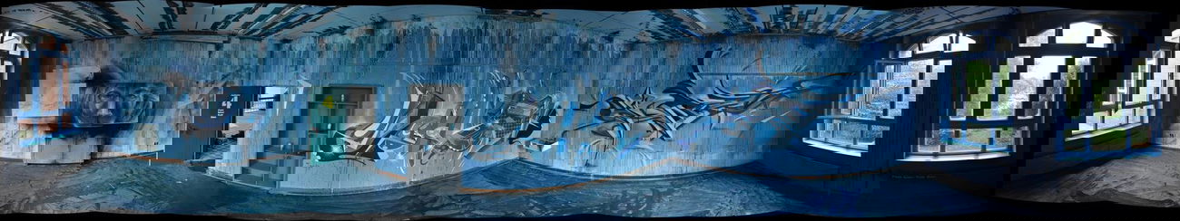 Graffiti Wall - Photo by DRIBS - shye, kibe, bird