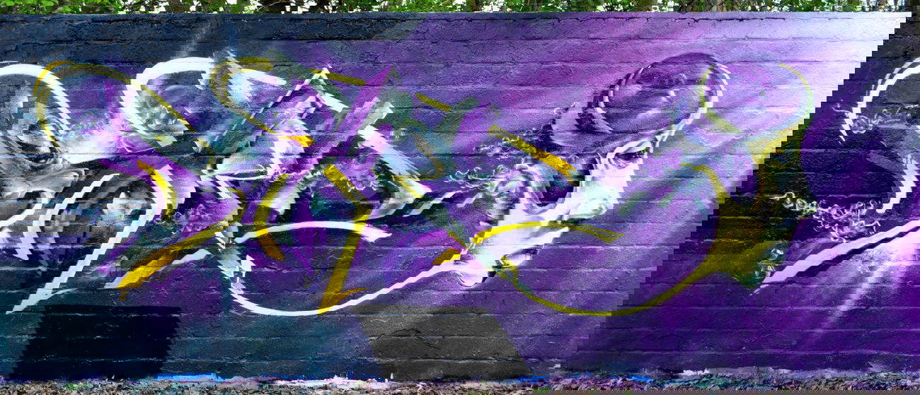 Graffiti Wall - Photo by DRIBS - BIRD, DRIBS