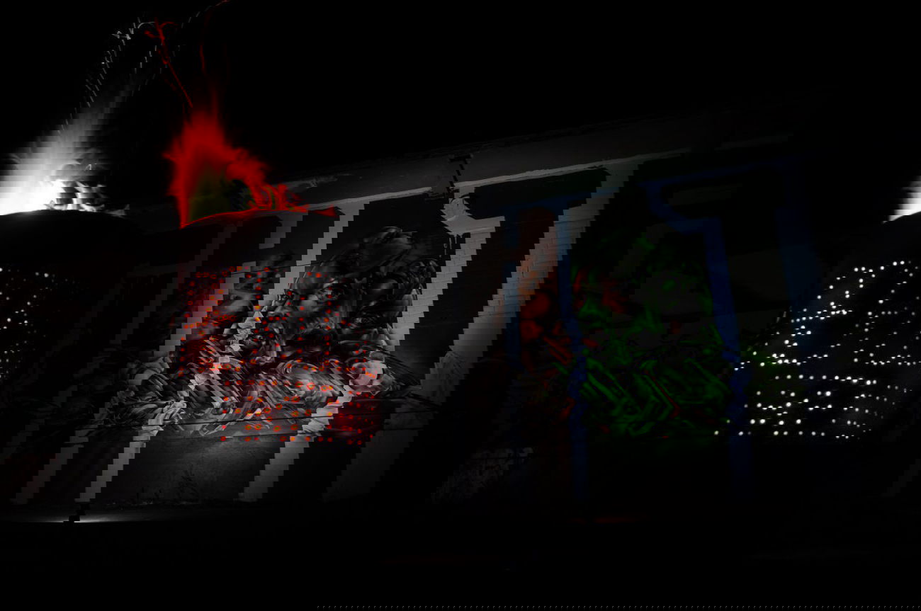 Graffiti Wall - Photo by DRIBS - DRIBS;, BIRD