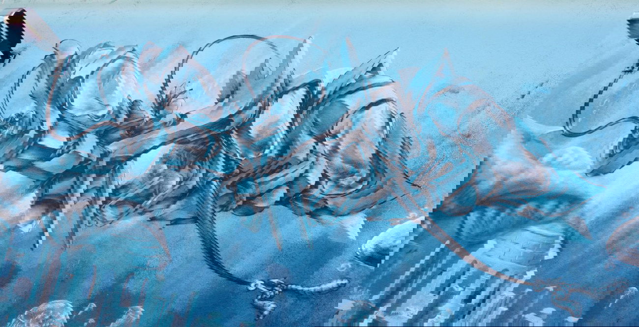 Graffiti Wall - Photo by DRIBS - bird, streetopia