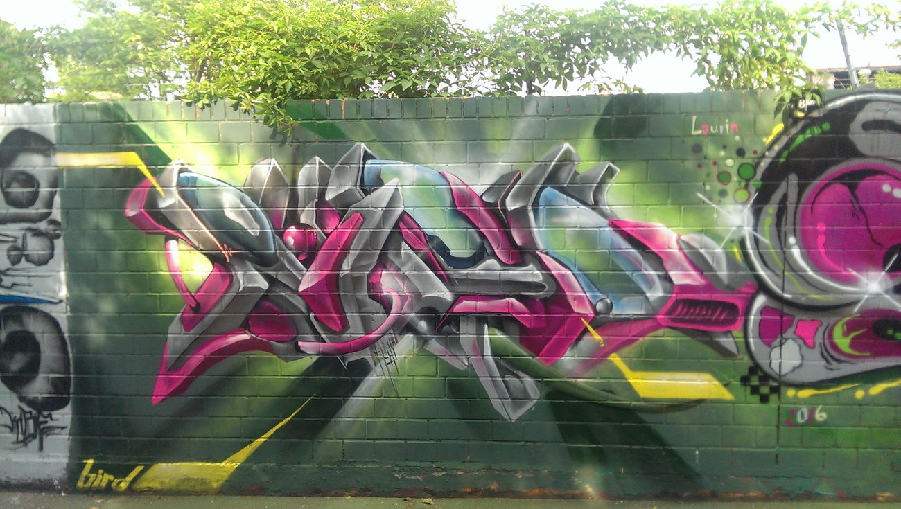 Graffiti Wall - Photo by DRIBS - bird