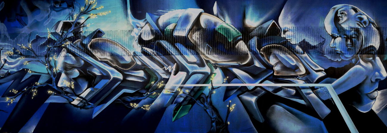 Graffiti Wall - Photo by DRIBS - BIRD (2016)