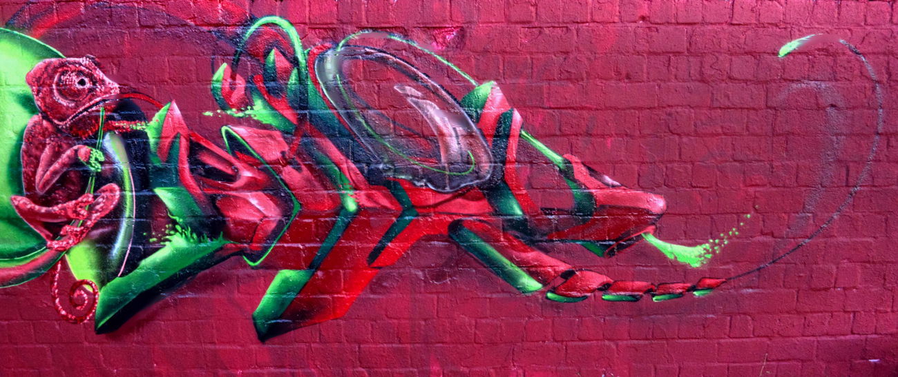 Graffiti Wall - Photo by DRIBS - Mücke32, Bird (2015)