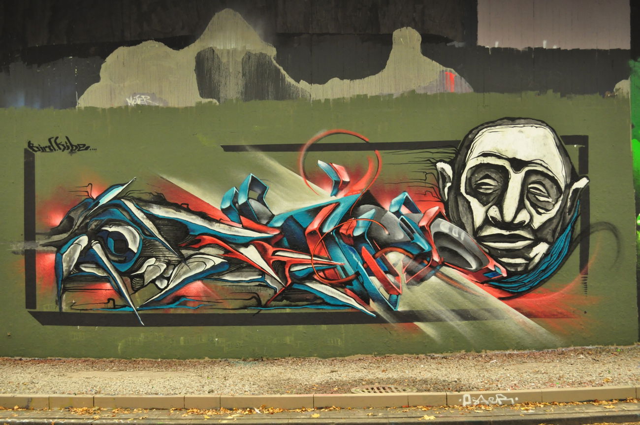 Graffiti Wall - Photo by DRIBS - kibe, bird