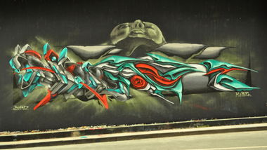 Graffiti Wall - Photo by DRIBS - kibe, bird (2017)