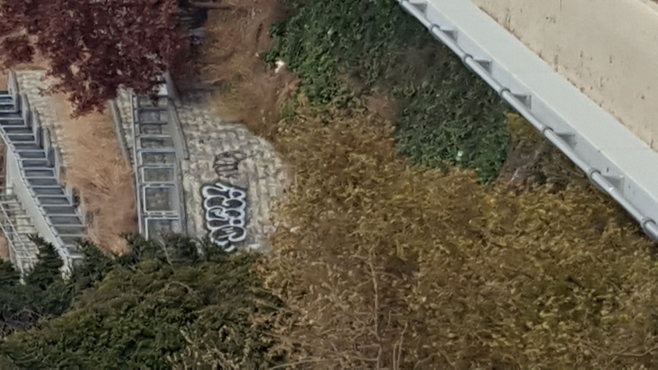 Graffiti Bombing - Photo by DTECTS11 (2017)