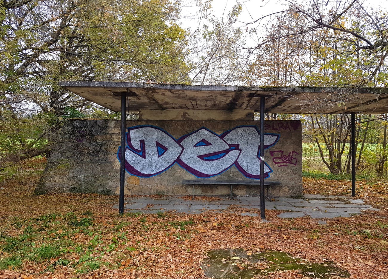 Graffiti Wall - Photo by DTR1 - Latvia, chrome, simple (2016)