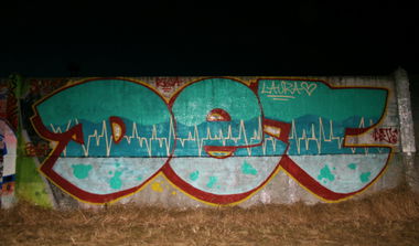 Graffiti Wall - Photo by DTR1 - Latvia, trainline, line (2014)