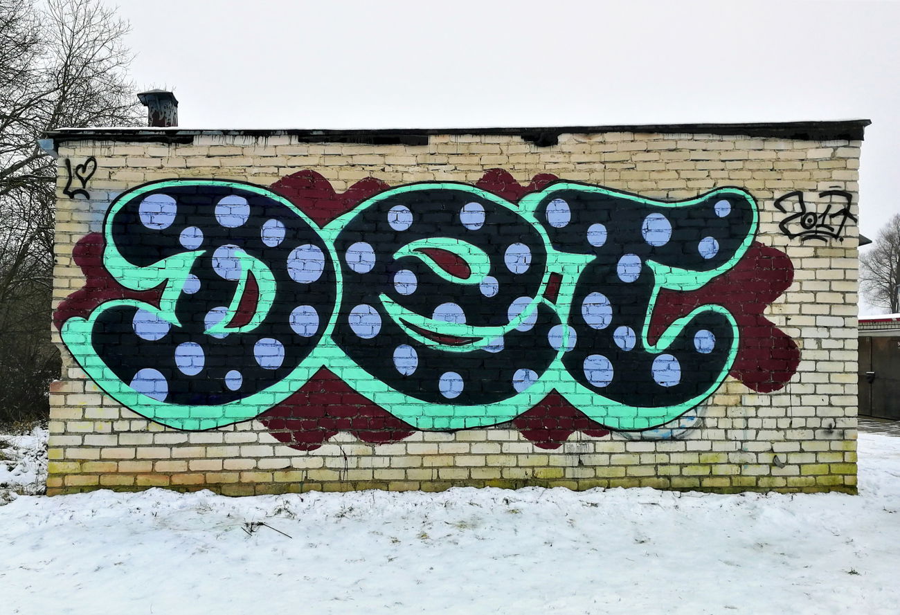 Graffiti Wall - Photo by DTR1 - latvia, trainline (2017)