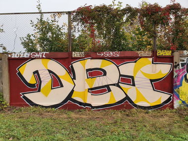 Graffiti Wall - Photo by DTR1 - trainline, simple, latvia (2020)