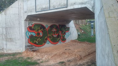 Graffiti Wall - Photo by DTR1 - latvia, camo (2014)