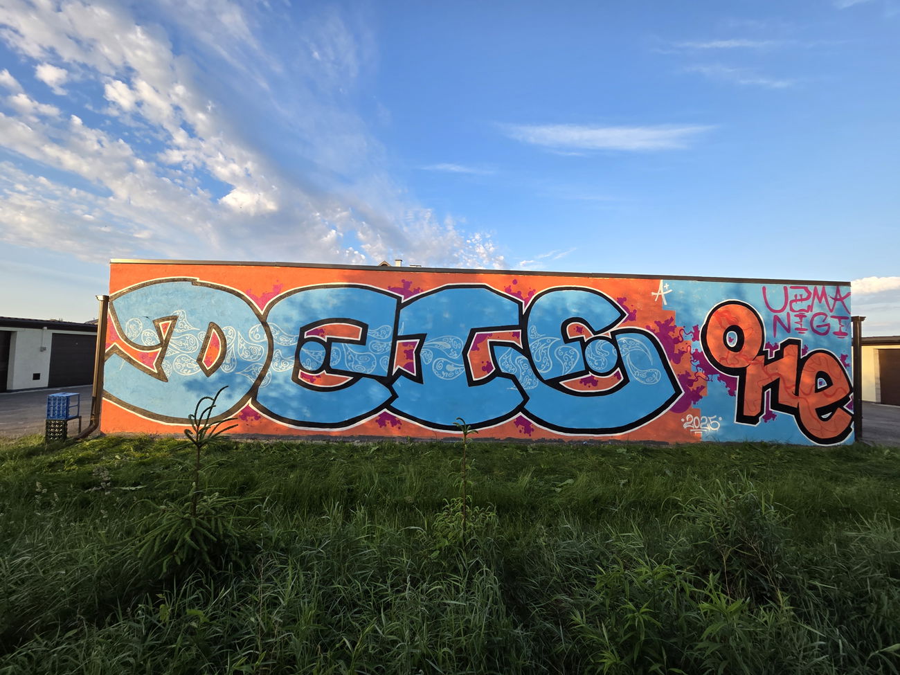 Graffiti Wall - Photo by DTR1 - latvia, dets (2025)