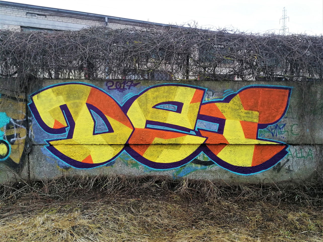 Graffiti Wall - Photo by DTR1 - latvia, trainline (2017)