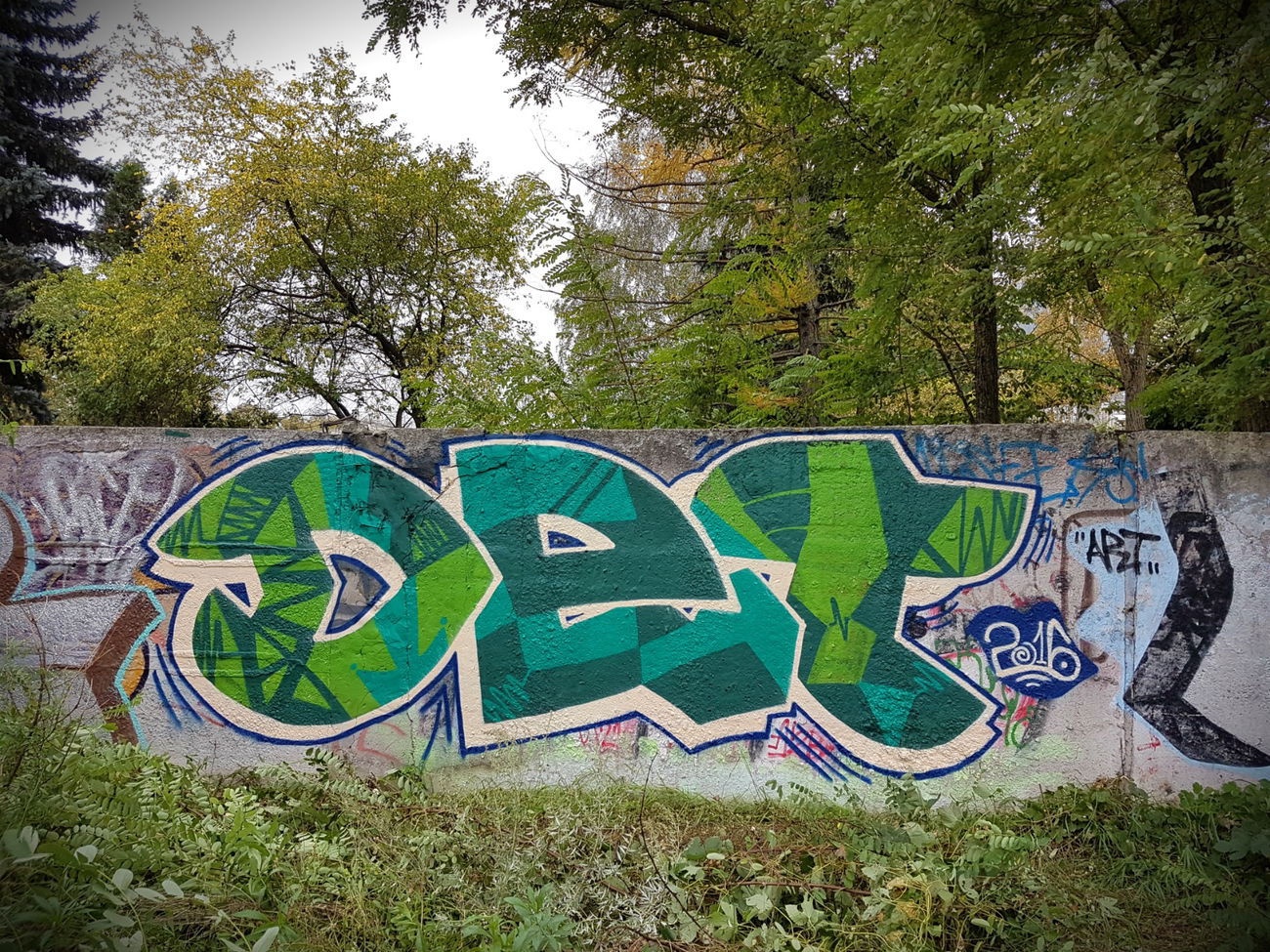 Graffiti Wall - Photo by DTR1 - Latvia, freestyle, trainline (2016)