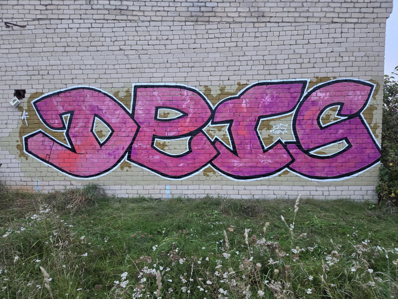 Graffiti Wall - Photo by DTR1 - latvia, pink, bigsize (2025)