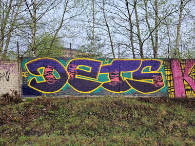 Graffiti Wall - Photo by DTR1 - latvia, riga, trainline (2025)