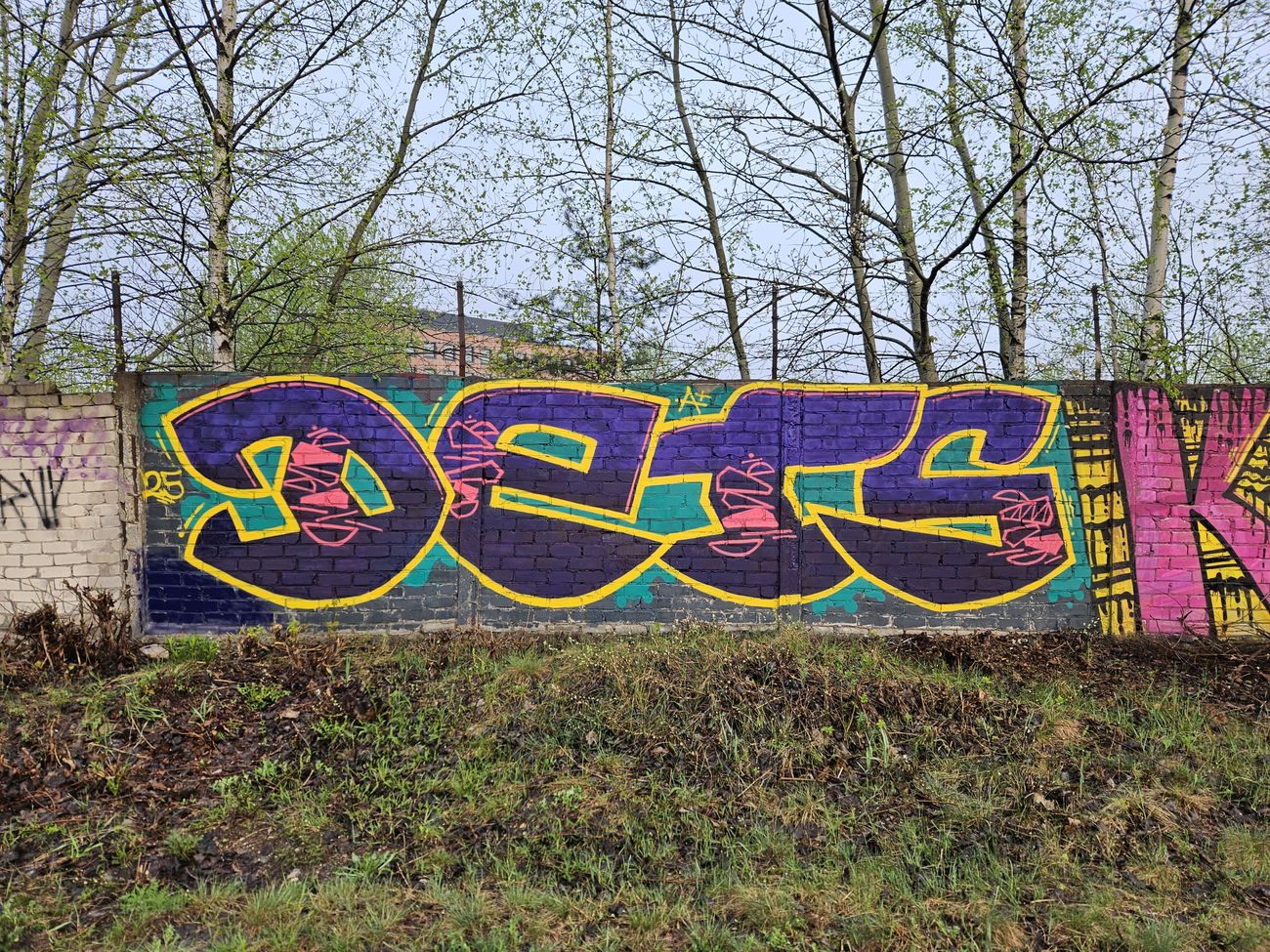 Graffiti Wall - Photo by DTR1 - latvia, riga, trainline (2025)