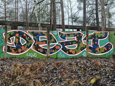 Graffiti Wall - Photo by DTR1 - Latvia, trainline (2025)
