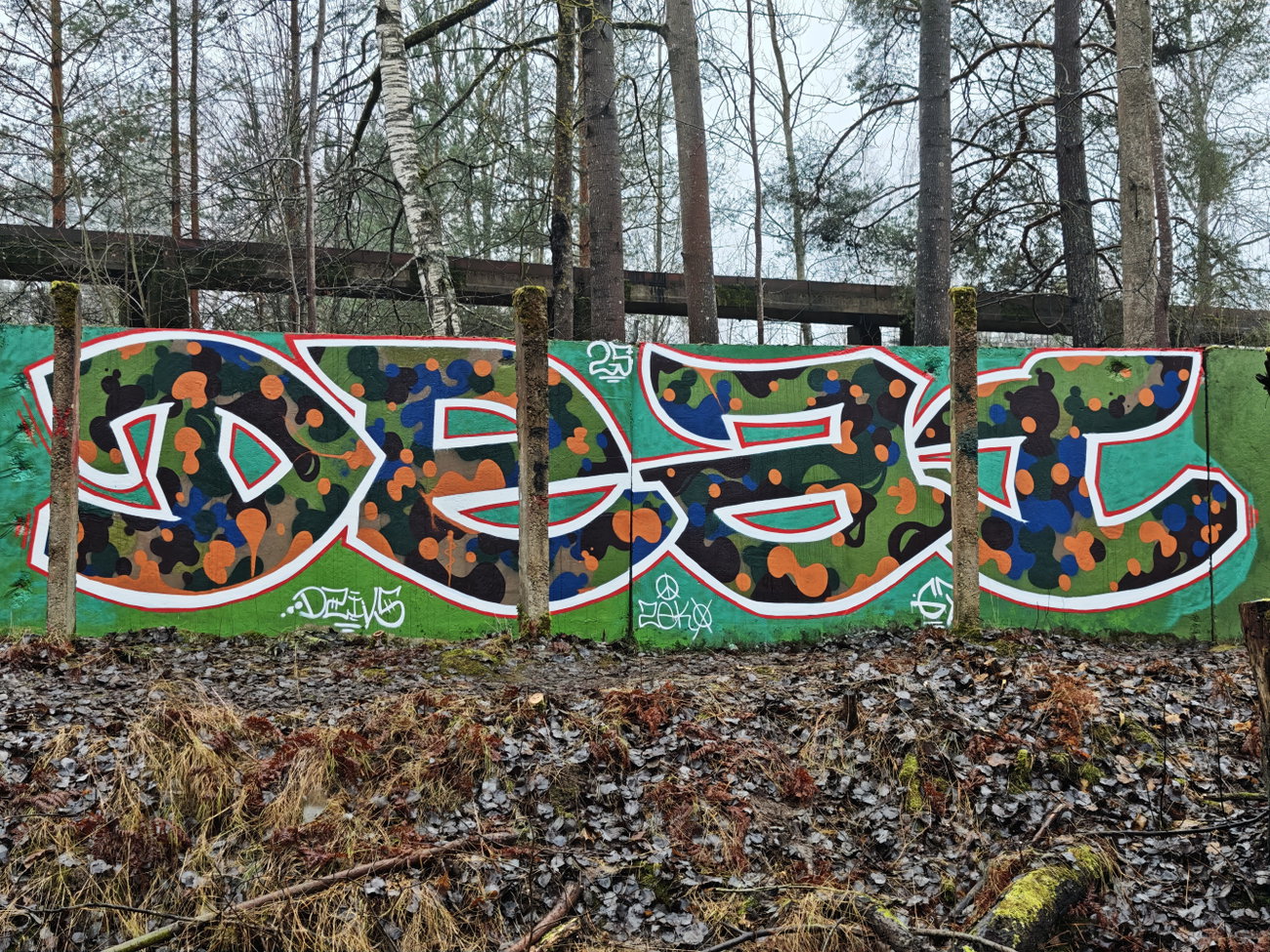 Graffiti Wall - Photo by DTR1 - Latvia, trainline (2025)