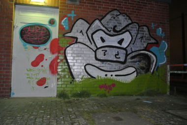 Graffiti Bombing in Bornheim - Photo by DUKE1823