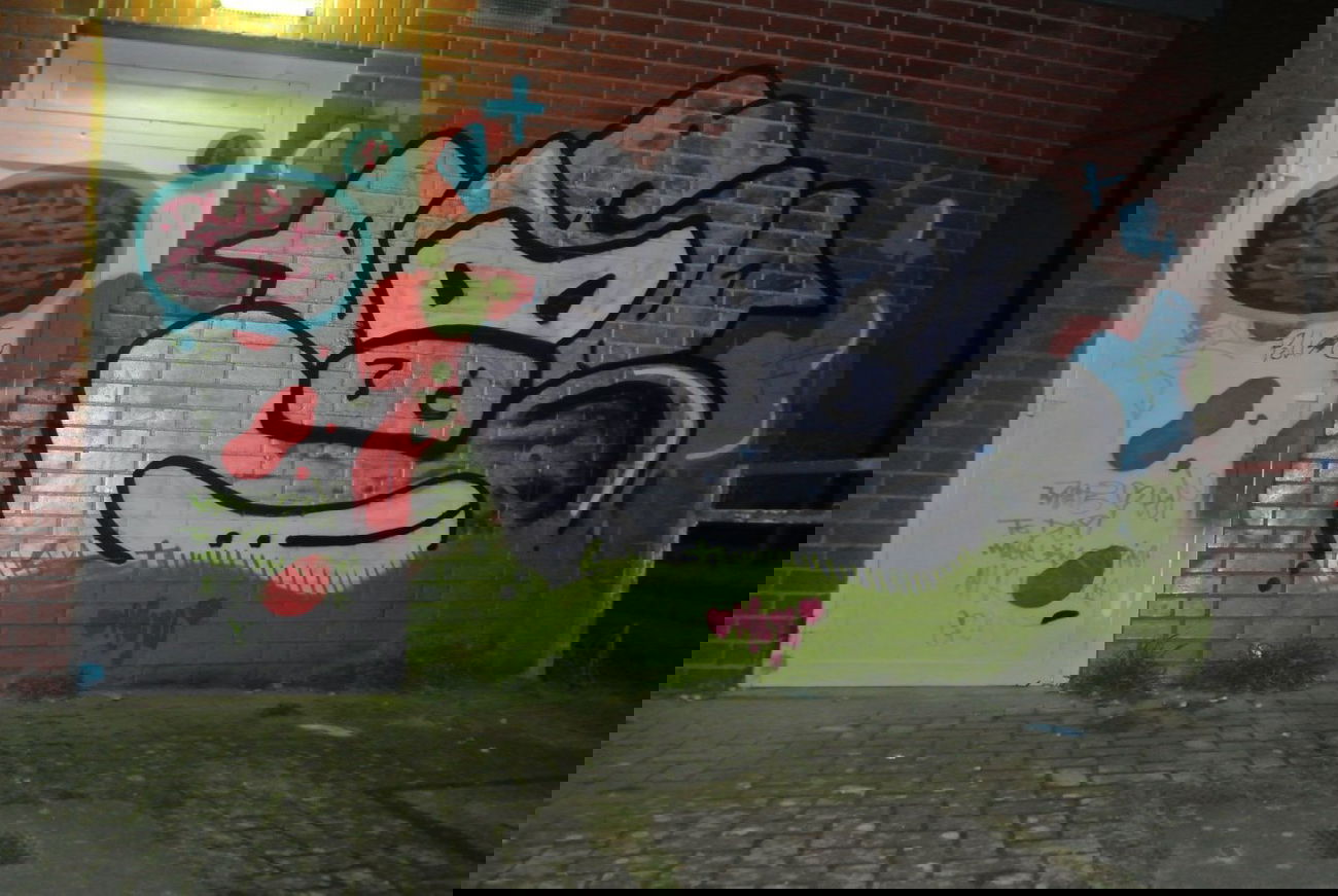 Graffiti Bombing in Bornheim - Photo by DUKE1823