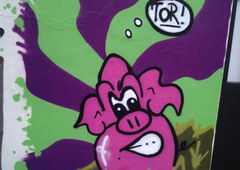 Photo #59687 by TagHagel