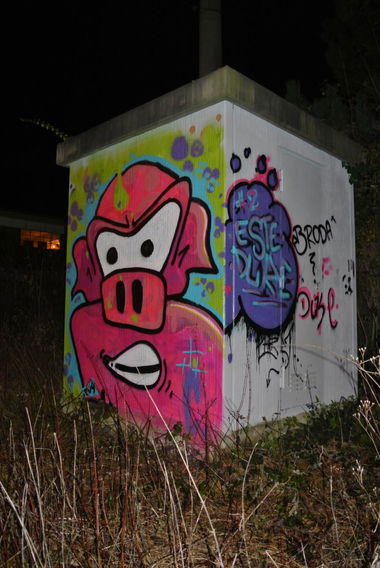 Graffiti Bombing in Brühl - Photo by DUKE1823