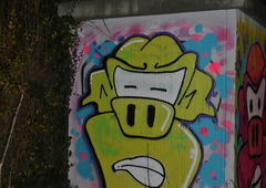 Photo #60757 by TagHagel