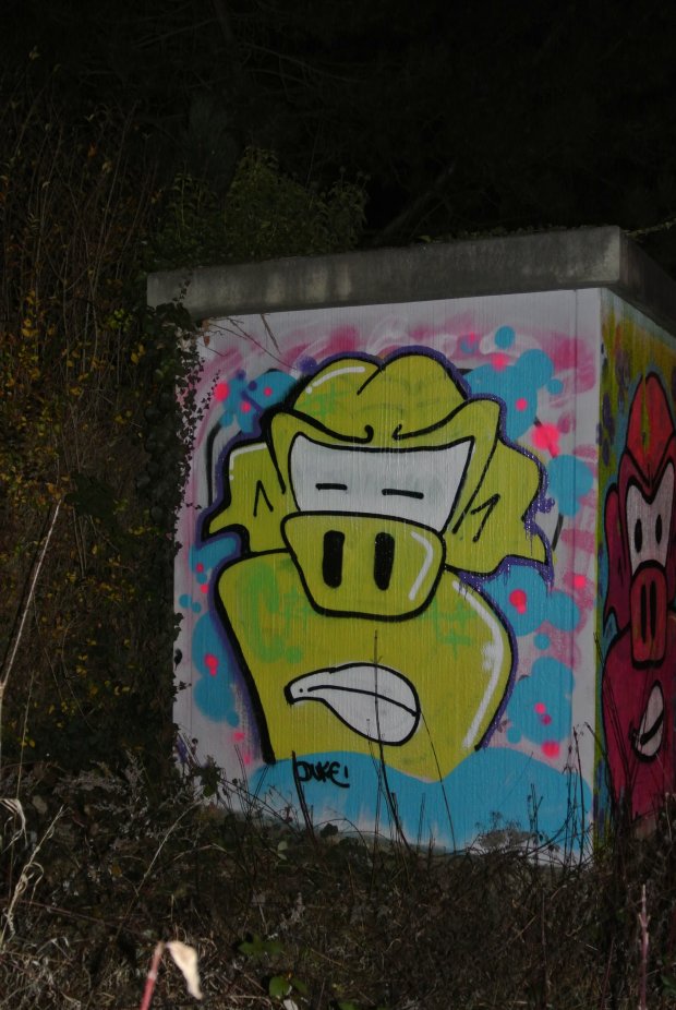 Graffiti Bombing in Brühl - Photo by DUKE1823