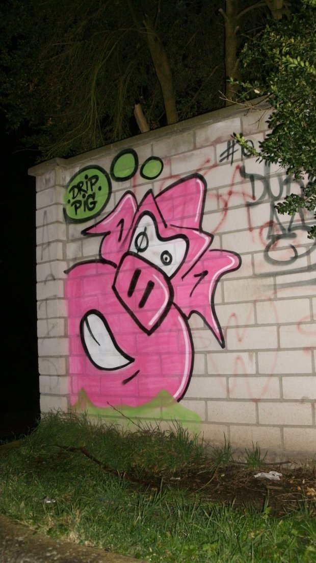 Graffiti Bombing in Balkonda - Photo by DUKE1823 - DRIPPIG, DUKE1823.PIG