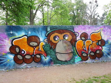 Graffiti Wall in Bonn - Photo by DUKE1823 - Ape, Affe, Duke (2014)