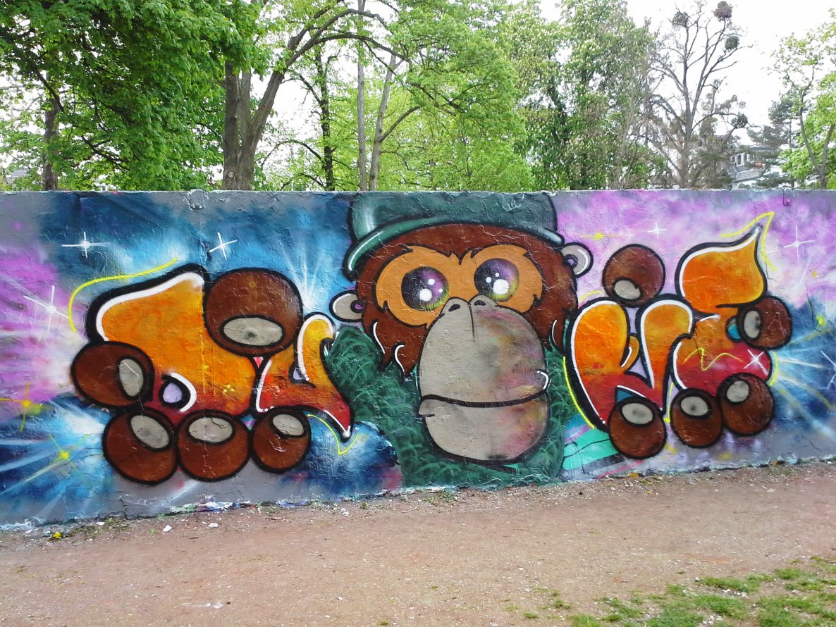 Graffiti Wall in Bonn - Photo by DUKE1823 - Ape, Affe, Duke (2014)