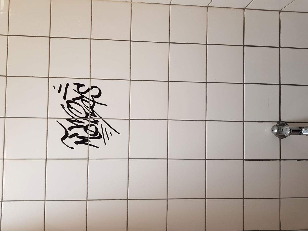 Graffiti Bombing - Photo by DaRkRuSs