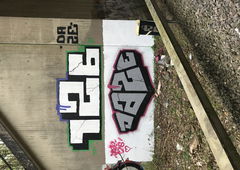 Photo #225231 by MENO