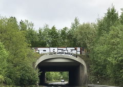 Photo #225230 by MENO