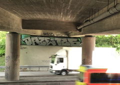 Photo #225235 by MENO