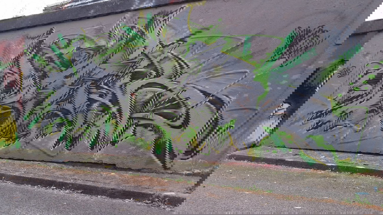 Graffiti Wall - Photo by DaiaR - DaiR, DaiaR, swbf (2014)