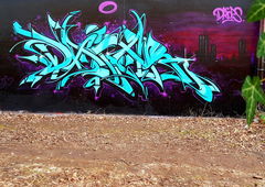Graffiti Wall - Photo by DaiaR - dropthatshit, daiar, dts (2019)