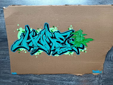Graffiti Artwork - Photo by DaiaR (2026)