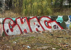 Photo #248950 by iobe1