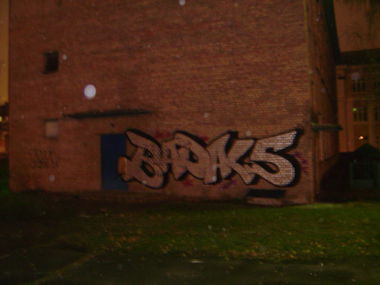 Graffiti Bombing - Photo by DalasKiev - BADALS.DALAS.DALS.BAD (2013)