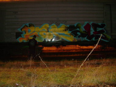 Graffiti Train - Photo by DalasKiev - badbalas/dals/dalas/ (2013)