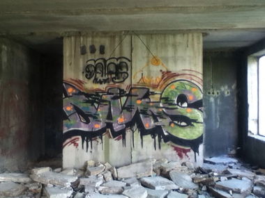 Graffiti Bombing - Photo by DalasKiev - DALAS