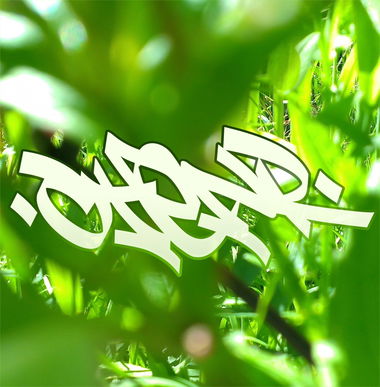 Graffiti Wall - Photo by Damce