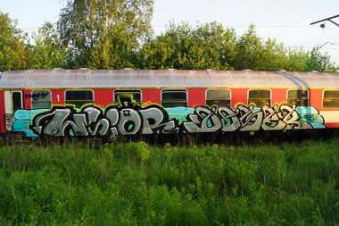 Graffiti Train - Photo by Daser - Wsior, -, Daser (2014)