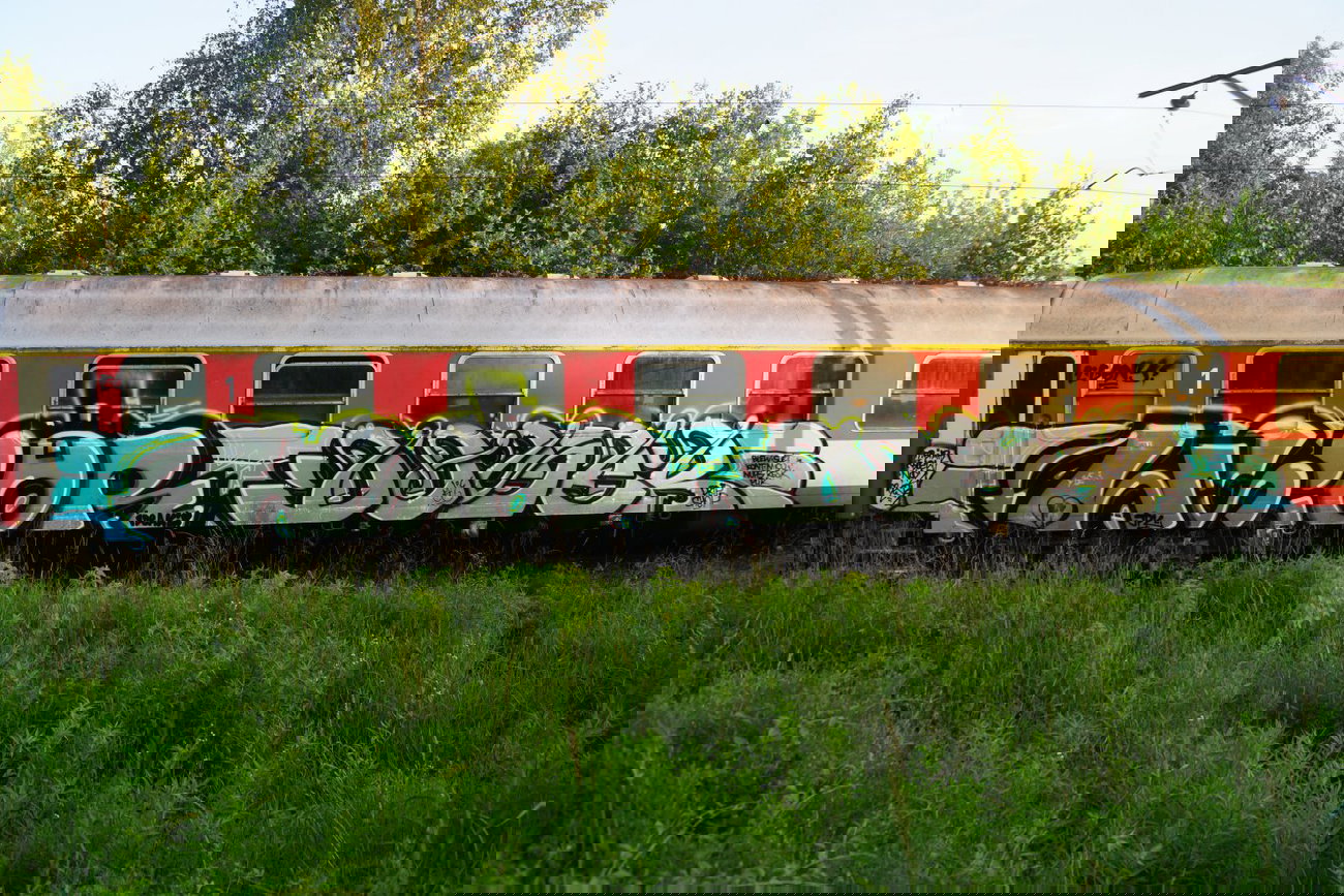 Graffiti Train - Photo by Daser - Wsior, -, Daser (2014)