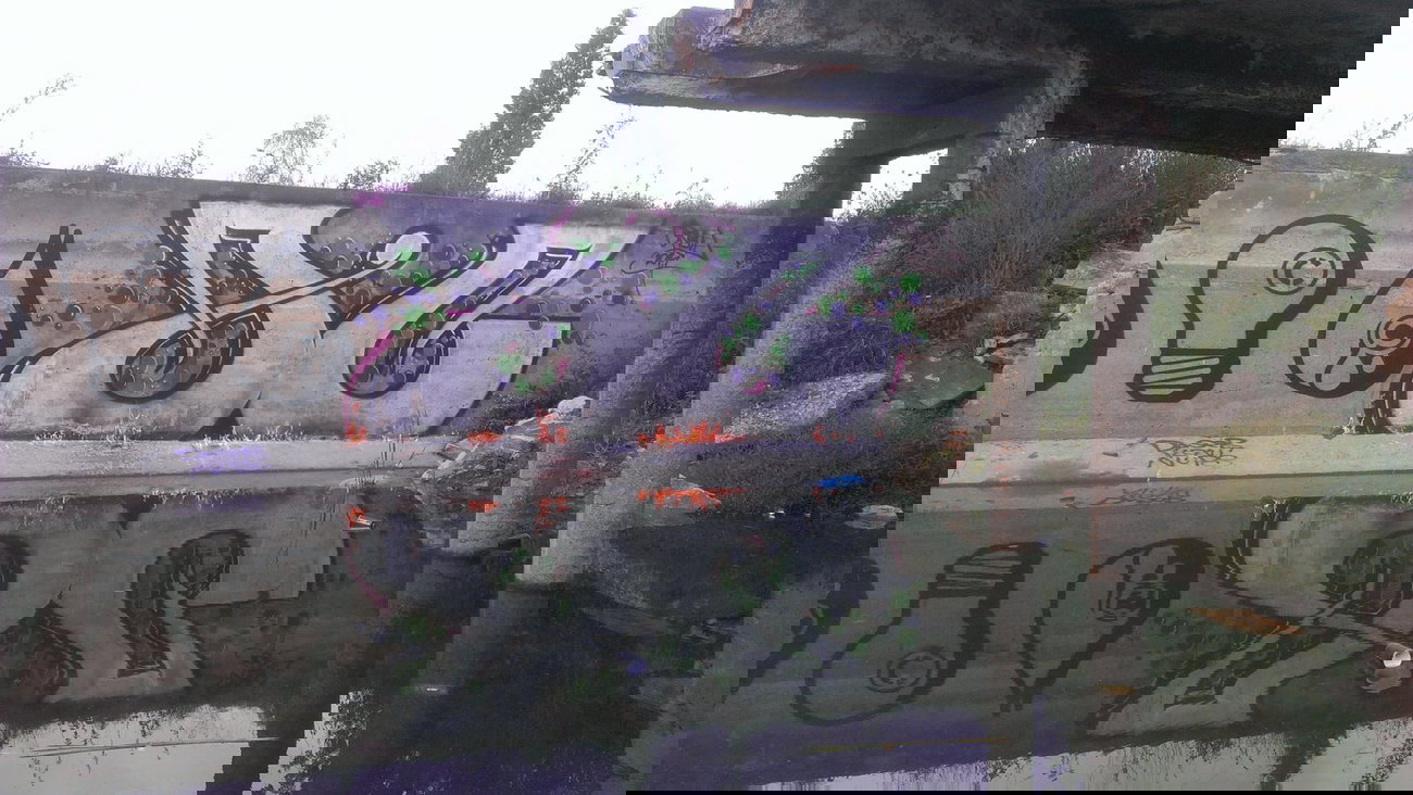 Graffiti Bombing - Photo by Daser - AC (2014)