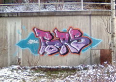 Photo #179794 by Mister