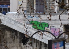 Photo #179444 by TagHagel